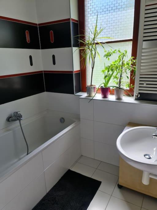 Comfortable Apartment! 布拉格 外观 照片